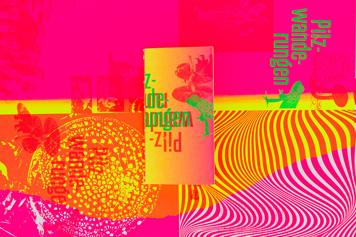 Pilzwanderungen
